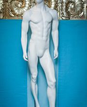 Gallery Professionale