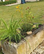 Evan Garden17 image 3