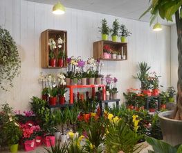 SARL Floréal image 6