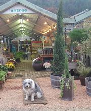 Espace Vert en Cévenne SARL image 4