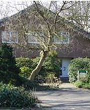 Böhmer Melanie Osteopathin für Kinder, Erwachsene und Pferde Bild 2