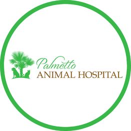 Palmetto Animal Hospital