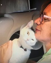 Clinique Vétérinaire de la Montagne - Luna Park image 3