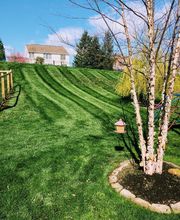 Shepherds View Landscaping & Tree Removal, LLC image 20