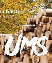 Frank Galster Forstunternehmen Bild 4