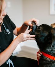 Twin Oaks Veterinary Clinic image 13