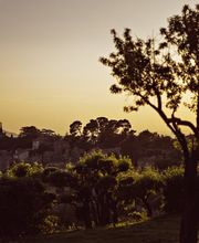 Capelongue, Bonnieux, a Beaumier Hotel image 11