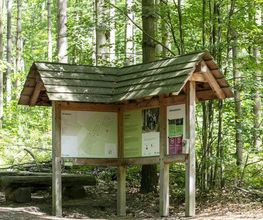 FriedWald Kamenz Bild 9