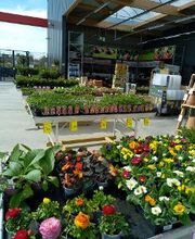 Bricomarché La Charité-Sur-Loire image 13