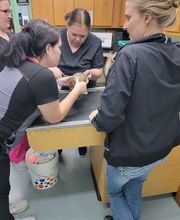 Independence Animal Hospital image 15