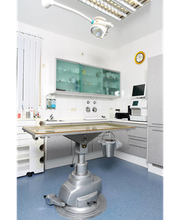 Wingeß Thomas Dr. Bild 10