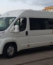 dimarbus03.jpg