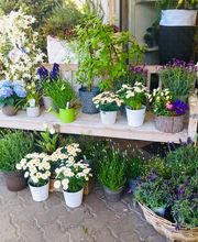 Lägere Blueme GmbH Bild 11