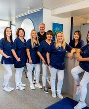 Praxis für Zahnheilkunde Martin Kelbel Bild 1