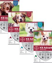 Petsense by Tractor Supply image 13