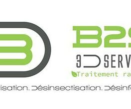 B2S-3D image 7