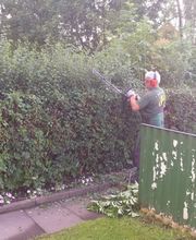 Gartenpflege