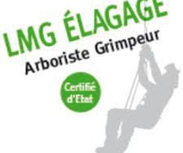 Lmg Elagage image 1