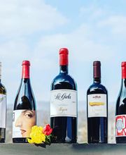 Vini Cappelletti AG Bild 14