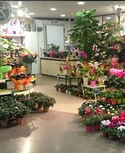 L' Orchidée image 2