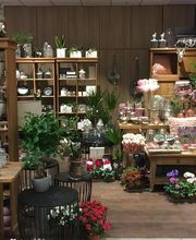 Blumen Interfleur Floristik & Wohnaccessoires Bild 6