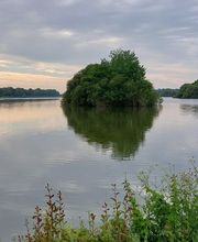 Lebasque Geraldine image 6