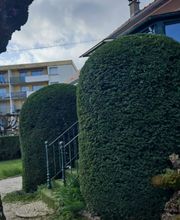 Satory Dylan image 1