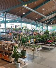 HORNBACH Gartencenter Erlangen Bild 2