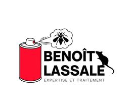 Benoît Lassale image 9