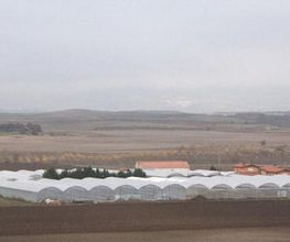 viveros-del-tiron-local-01.jpg