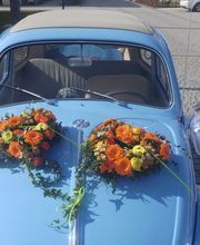hochzeits-kutscher-online.de Bild 8