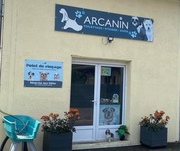 Arcanin image 13