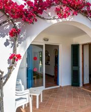 O7 Vista Picas imagen 15