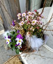 s'Bluemelädeli Schmid GmbH Bild 11