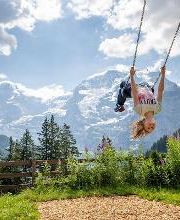 Panorama Swing Winteregg-Mürren Bild 1