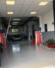 Gallery Cliente