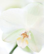 Nieren- und Dialysezentrum Bild 3