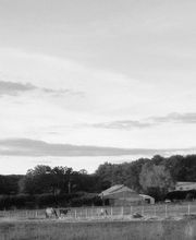 Marion Leprat - Médecine Traditionnelle Chinoise image 8