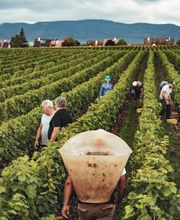 Domaine des Biolles Bild 8