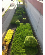 Hausmeisterservice K+K Bild 7