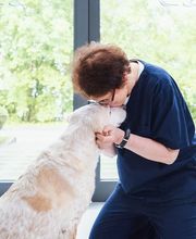 Tierarzt Aachen, Tierärztliches Zentrum für Chirurgie Dr. Kinzel Aachen Bild 3