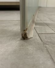 IMG_7279.jpeg
