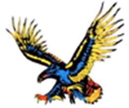 Pneus RAFFIN image 3