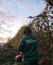 Heckenschnitt im Herbst