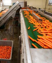 Gallery Professionale