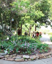 Oaks at Tucker image 18