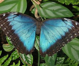 Im-Ein-Klang Körper Geist und Seele Bild 2