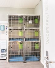 Kleintierpraxis 54 Bild 4