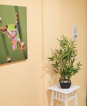 Dr. med. dent. Rohde Luzius Bild 6