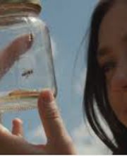 Abeille Assurances image 2